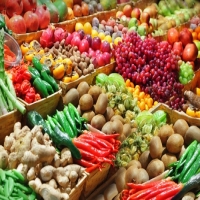 Seminar talks fruit, veg exports